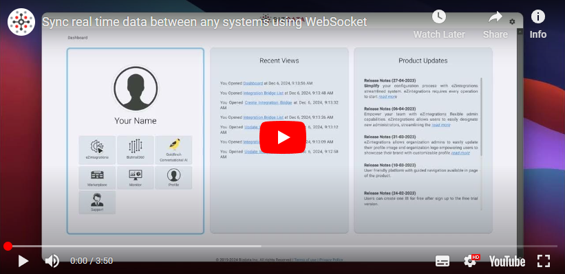 Sync-real-time-data-between-any-systems-using-WebSocket-Bizdata